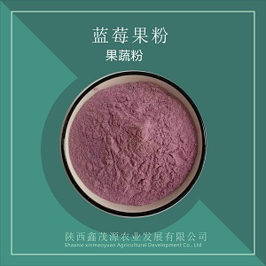 蓝莓粉,Blueberry powder