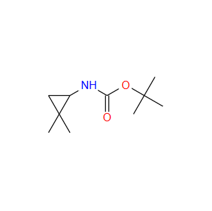 4-氯-3-羟基-5-硝基苯甲酰胺,tert-Butyl 2,2-dimethylcyclopropylcarbamate