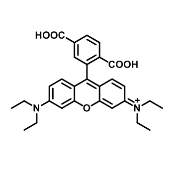 6-羧基四乙基罗丹明,6-carboxytetraethylrhodamine