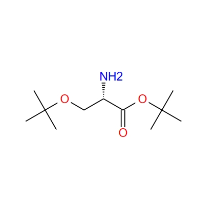 (S)-2-氨基-3-叔丁氧基丙酸叔丁酯,(S)-2-Amino-3-tert-butoxypropionic acid tert-butyl ester
