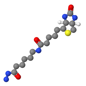 生物素酰胺基己酸肼；109276-34-8