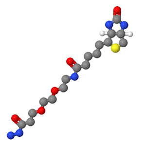生物素-PEG2-酰肼；2413847-26-2
