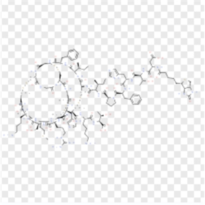 Biotinyl-Hepcidin-25 (human) 1815618-07-5