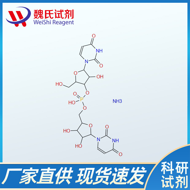 尿酸酶,Uricase