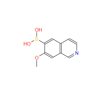 B-(7-Methoxy-6-isoquinolinyl)boronic acid,B-(7-Methoxy-6-isoquinolinyl)boronic acid