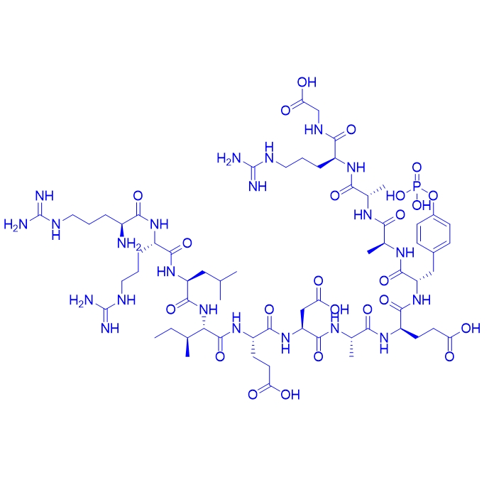 磷酸酶底物多肽RRLIEDAE{pY}AARG,RRLIEDAEpYAARG