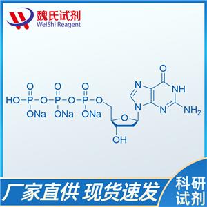 2'-脱氧鸟苷-5'-三磷酸三钠盐/93919-41-6