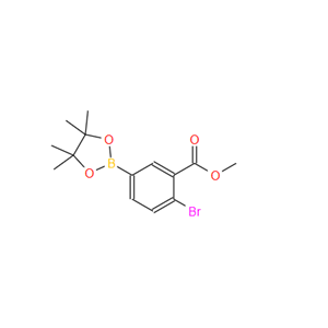 2-溴-5-(4,4,5,5-四甲基-1,3,2-二氧杂硼烷-2-基)苯甲酸甲酯,BENZOIC ACID, 2-BROMO-5-(4,4,5,5-TETRAMETHYL-1,3,2-DIOXABOROLAN-2-YL)-, METHYL ESTER