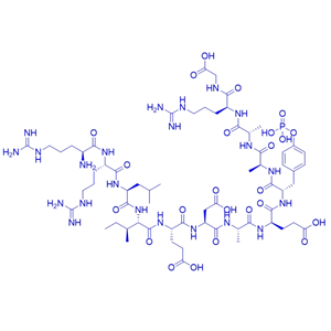 磷酸酶底物多肽RRLIEDAE{pY}AARG/118447-68-0/RRLIEDAEpYAARG