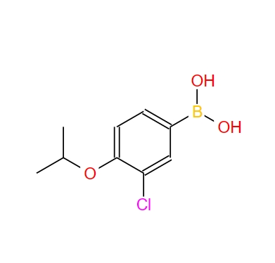 (3-氯-4-异丙氧基苯基)硼酸,(3-Chloro-4-isopropoxyphenyl)boronic acid