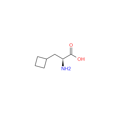 (ALPHAS)-ALPHA-氨基环丁烷丙酸,L-Cyclobutylalanine
