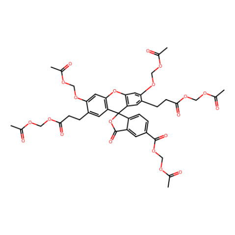 2',7'-二-(2-羧乙基)-5(6)-羧基荧光素乙酰甲酯,2′,7′-Bis(2-carboxyethyl)-5(6)-carboxyfluorescein acetoxymet