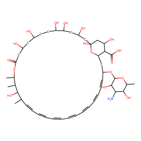 兩性霉素B,Amphotericin B