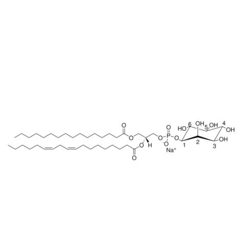 L-α-磷脂酰肌醇(大豆)(钠盐),L-α-phosphatidylinositol (Soy) (sodium salt)