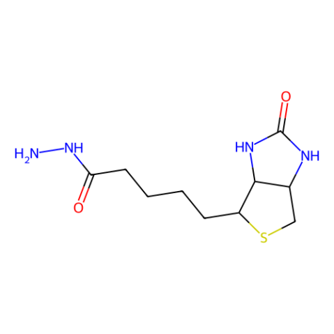 生物素酰肼,(+)-Biotin hydrazide