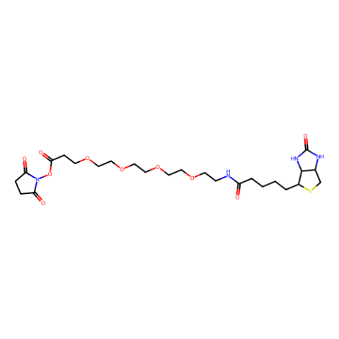 15-生物素-氨基-4,7,10,13-二氧杂壬酸N-羟基琥珀酰亚胺,15-BiotinlaMino-4,7,10,13-dioxanonanoic acid N-hydroxysucciniMidyl ester