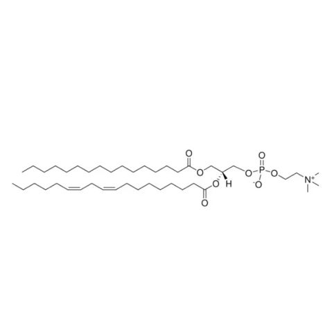 L-α-磷脂酰胆碱(大豆),L-α-phosphatidylcholine (Soy)