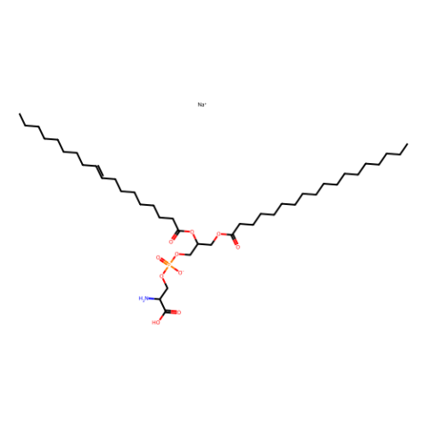 1-硬脂酰基-2-油酰基-sn-甘油-3-磷酸-L-丝氨酸(钠盐),1-stearoyl-2-oleoyl-sn-glycero-3-phospho-L-serine (sodium salt)