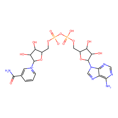β-烟酰胺腺嘌呤二核苷酸(NAD),β-Nicotinamide adenine dinucleotide(NAD)