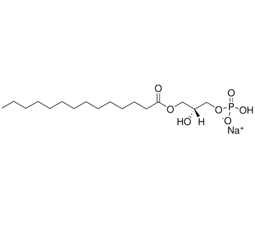 1-肉豆蔻基-2-羟基-sn-甘油-3-磷酸酯(钠盐),1-myristoyl-2-hydroxy-sn-glycero-3-phosphate (sodium salt)
