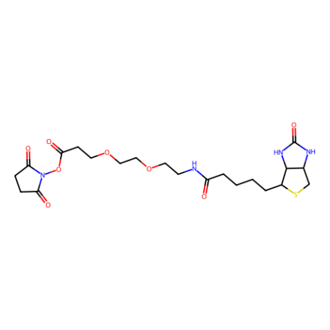 9-(生物素氨基)-4,7-二氧雜壬酸N-琥珀酰亞胺酯,9-BiotinlaMino-4,7-dioxanonanoic acid N-hydroxysucciniMidyl ester