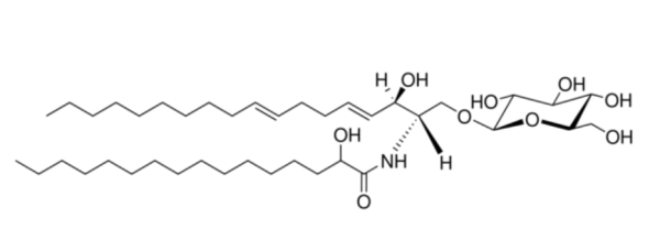 葡糖神经酰胺（大豆）,Glucocerebrosides (Soy)