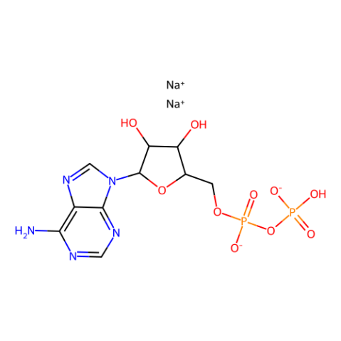 腺苷-5'-二磷酸钠盐,Adenosine 5'-Diphosphate Disodium Salt