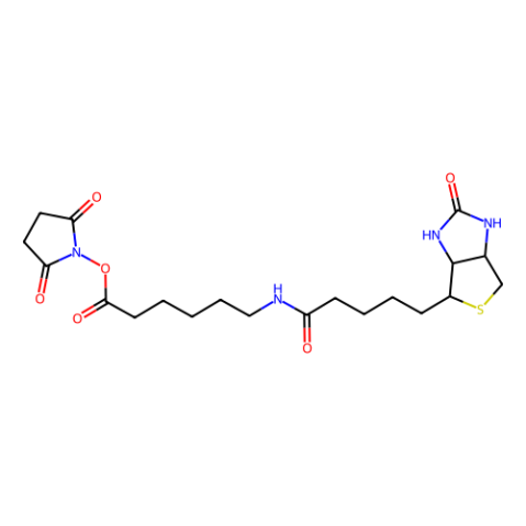 N-琥珀酰亞氨基6-生物素氨己酸,N-Succinimidyl 6-Biotinamidohexanoate