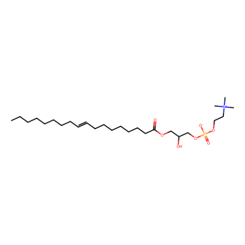 1-油?；?2-羥基-sn-甘油-3-磷酸膽堿,1-oleoyl-2-hydroxy-sn-glycero-3-phosphocholine