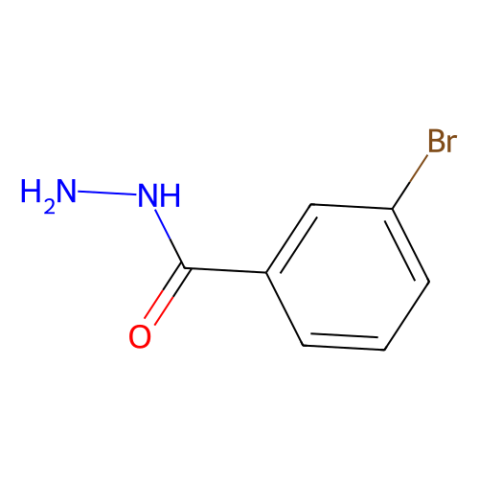 3-溴苄肼,3-Bromobenzoic hydrazide