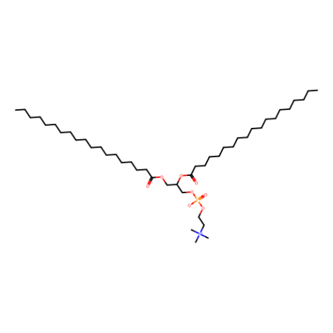 1,2-二十二烷?；?sn-甘油-3-磷酸膽堿,1,2-dinonadecanoyl-sn-glycero-3-phosphocholine