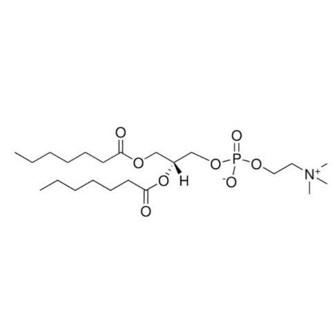 1,2-二庚酰-Sn-甘油-3-磷酰膽堿,1,2-diheptanoyl-sn-glycero-3-phosphocholine