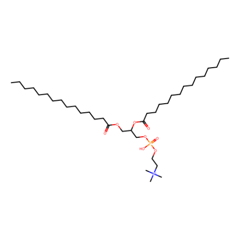 1,2-二十五碳酰基-sn-甘油-3-磷酸胆碱,1,2-dipentadecanoyl-sn-glycero-3-phosphocholine