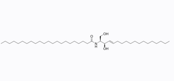 C22神经酰胺（d18：1/22：0）,C22 Ceramide (d18:1/22:0)