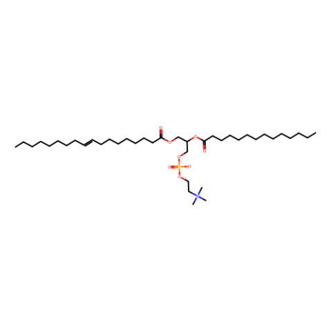 1-油酰基-2-肉豆蔻酰基-sn-甘油-3-磷酸胆碱,1-oleoyl-2-myristoyl-sn-glycero-3-phosphocholine