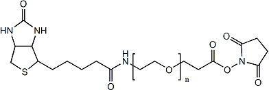 (+)-生物素-PEG24-NHS酯,(+)-Biotin-PEG??-NHS Ester