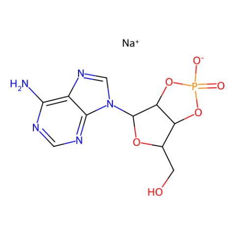 腺苷2′:3′-循环磷酸钠盐,Adenosine 2′:3′-cyclic monophosphate sodium salt