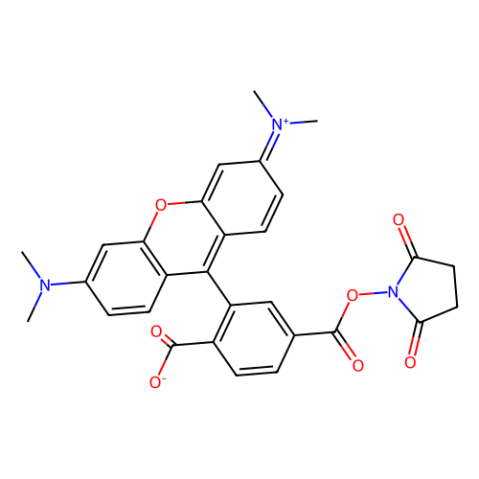 6-羧基四甲基罗丹明琥珀酰亚胺酯,6-Carboxy-tetramethylrhodamine N-succinimidyl ester