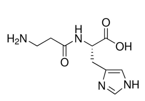 L-肌肽,L-Carnosine