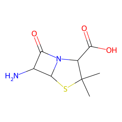 6-氨基青霉烷酸,(+)-6-Aminopenicillanic acid
