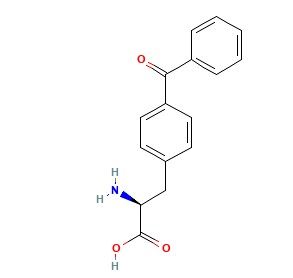 4-苯甲酰基-L-苯基丙氨酸,4-Benzoyl-L-phenylalanine