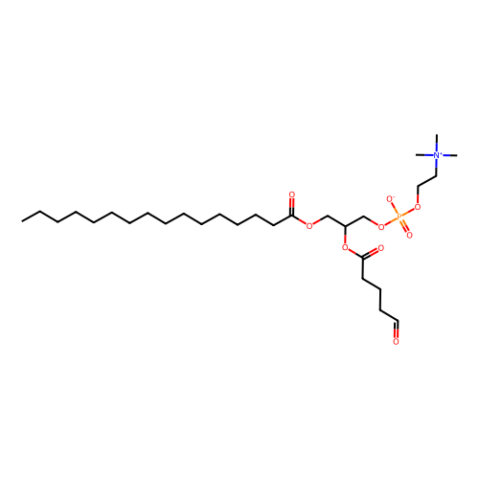 1-棕榈酰基-2-(5'-氧-戊酰基)-sn-甘油-3-磷酸胆碱,1-palmitoyl-2-(5'-oxo-valeroyl)-sn-glycero-3-phosphocholine