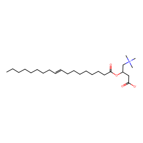 油酰基肉碱,oleoyl L-carnitine