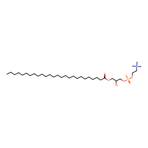 1-十六烷?；?2-羥基-sn-甘油-3-磷酸膽堿,1-hexacosanoyl-2-hydroxy-sn-glycero-3-phosphocholine