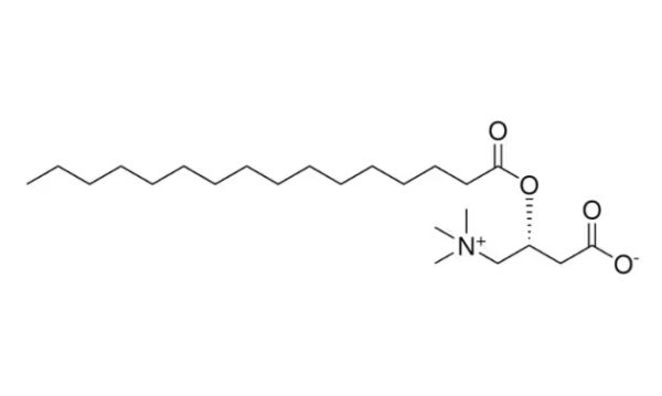 棕榈酰左旋肉碱,palmitoyl L-carnitine