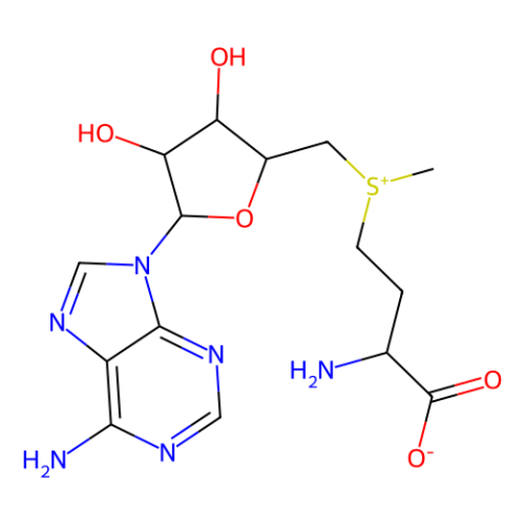 S-腺苷甲硫氨酸对甲苯磺酸盐,SAM p-toluenesulfonate salt