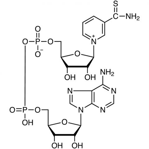 硫代煙酰胺腺嘌呤二核苷酸 (氧化型) [用于生化研究],Thionicotinamide Adenine Dinucleotide oxidized form [for Biochemical Research]