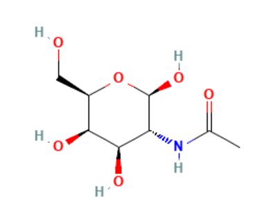 N-乙酰-D-半乳糖胺,N-Acetyl-D-galactosamine