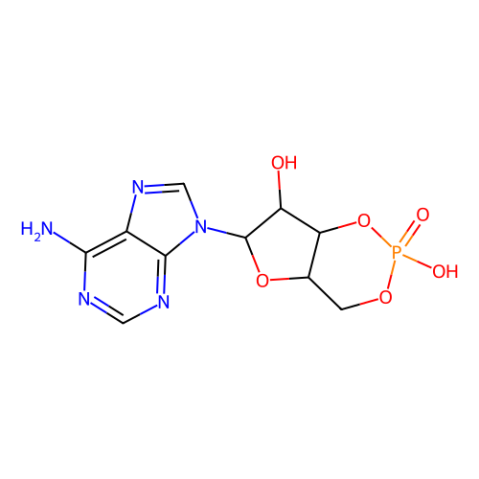 腺苷-3'，5'-环磷酸,Adenosine 3′,5′-cyclic monophosphate