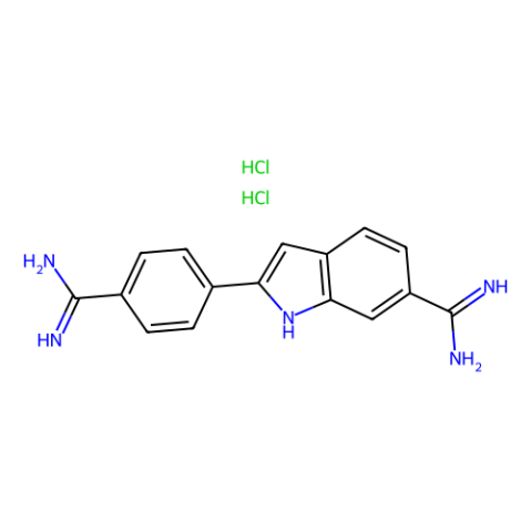 4',6-二脒基-2-苯基吲哚二盐酸盐,4',6-Diamidino-2-phenylindole Dihydrochloride